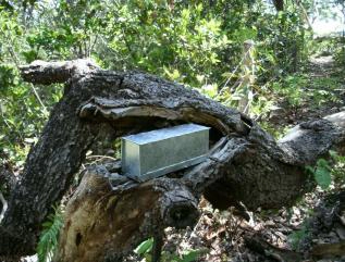 Monitoramento da Fauna4