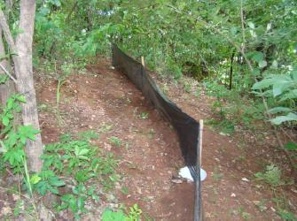 Monitoramento da Fauna6